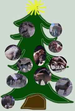 Icelandic Horse Xmas Tree